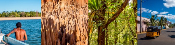 Tout sur Madagascar: le nord de Madagascar