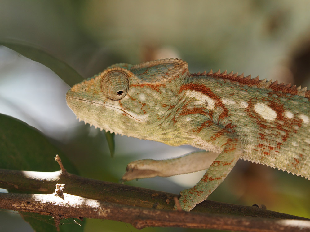 madagascar – l’essentiel de l’ouest