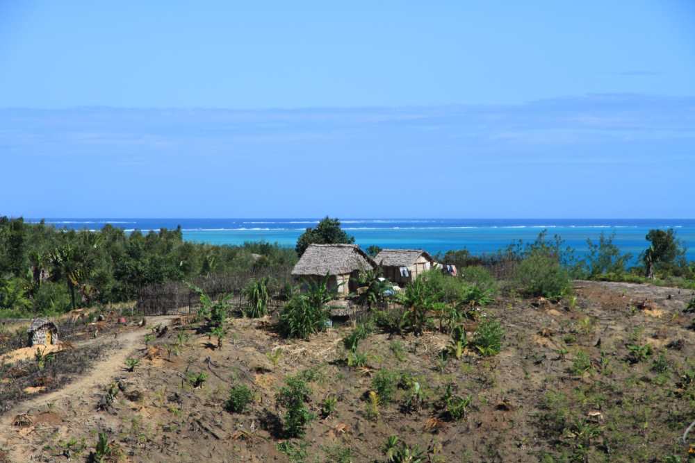 madagascar – mettez-vous au vert