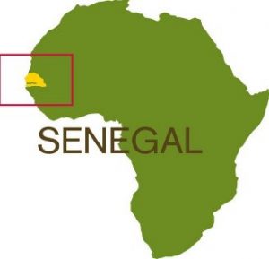 sénégal - le pays et la langue : croisière au fil du fleuve sénégal: senegal