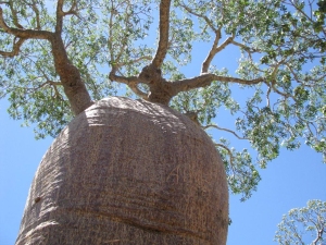 Parc National Tsimanampetsotsa