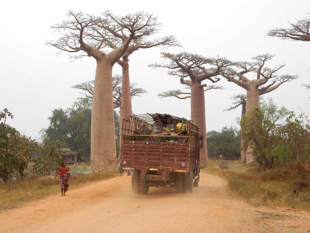 Paysage Harmonieux de Menabe Antimena