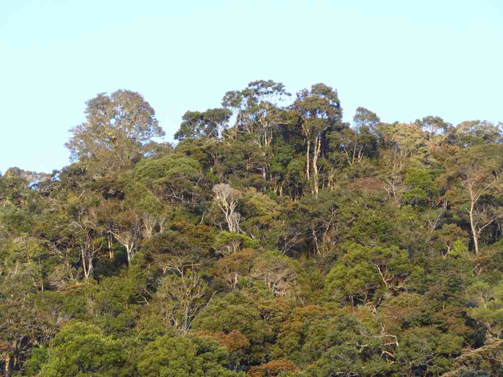 Paysage harmonieux de l'aire Protégée d’Ambatofotsy -