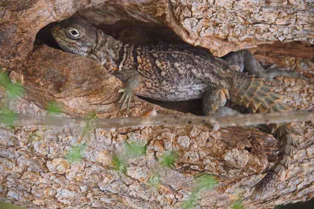 Parc National de Sahamalaza