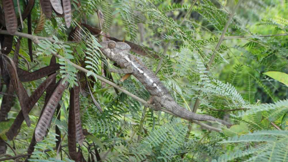 Parc National de Nosy Hara